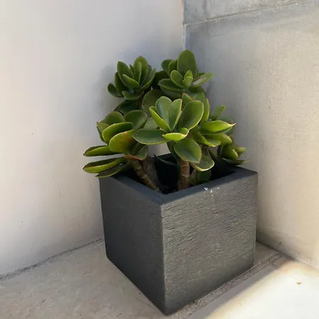 Casa Adassa Сasa de vacaciones